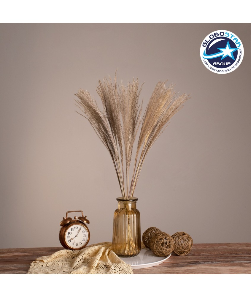 GLOBOSTAR® MISCANTHUS 36535 Αποξηραμένο Διακοσμητικό Μπουκέτο Μίσχανθος - Μπεζ - Μ20 x Π20 x Υ60cm - Πακέτο 20 Τεμαχίων
